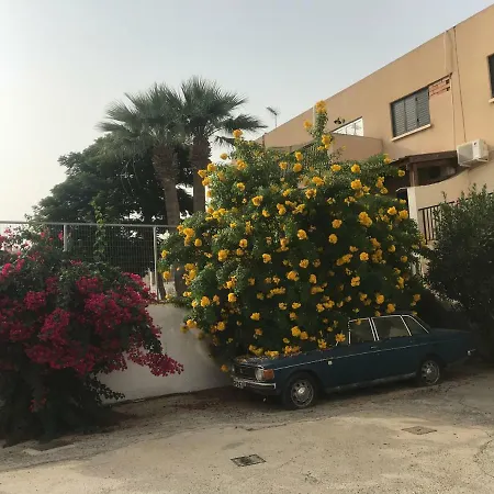 Theodoros Apt. 408 *